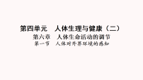 初中生物人教版（2024）八年级上册（2024）第一节 人体对外界环境的感知图片课件ppt