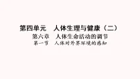 初中生物人教版（2024）八年级上册（2024）第一节 人体对外界环境的感知图片课件ppt