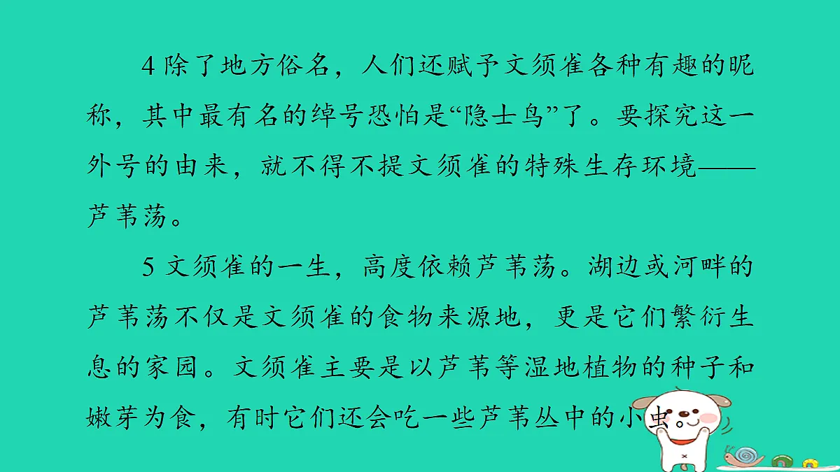 17346165第4页