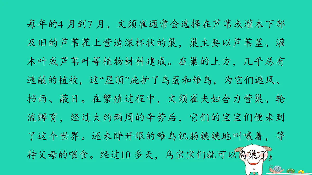 17346165第5页