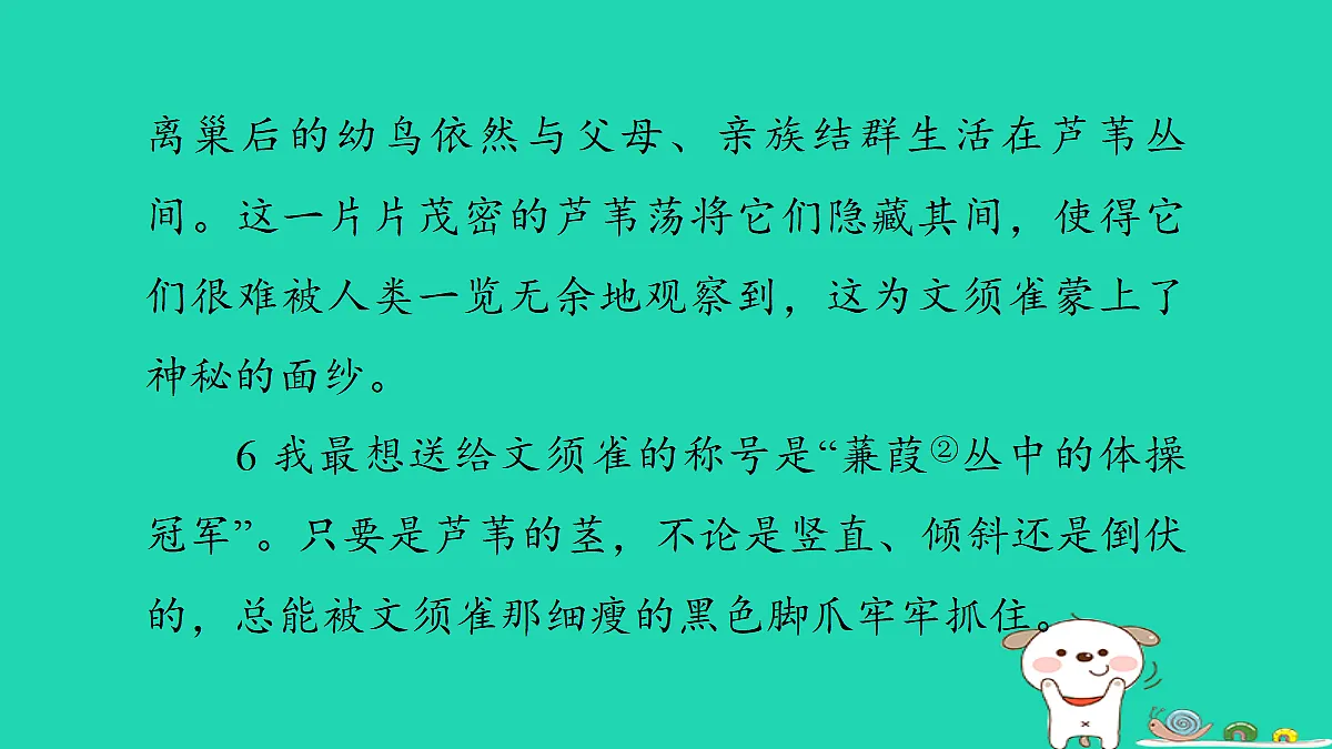 17346165第6页