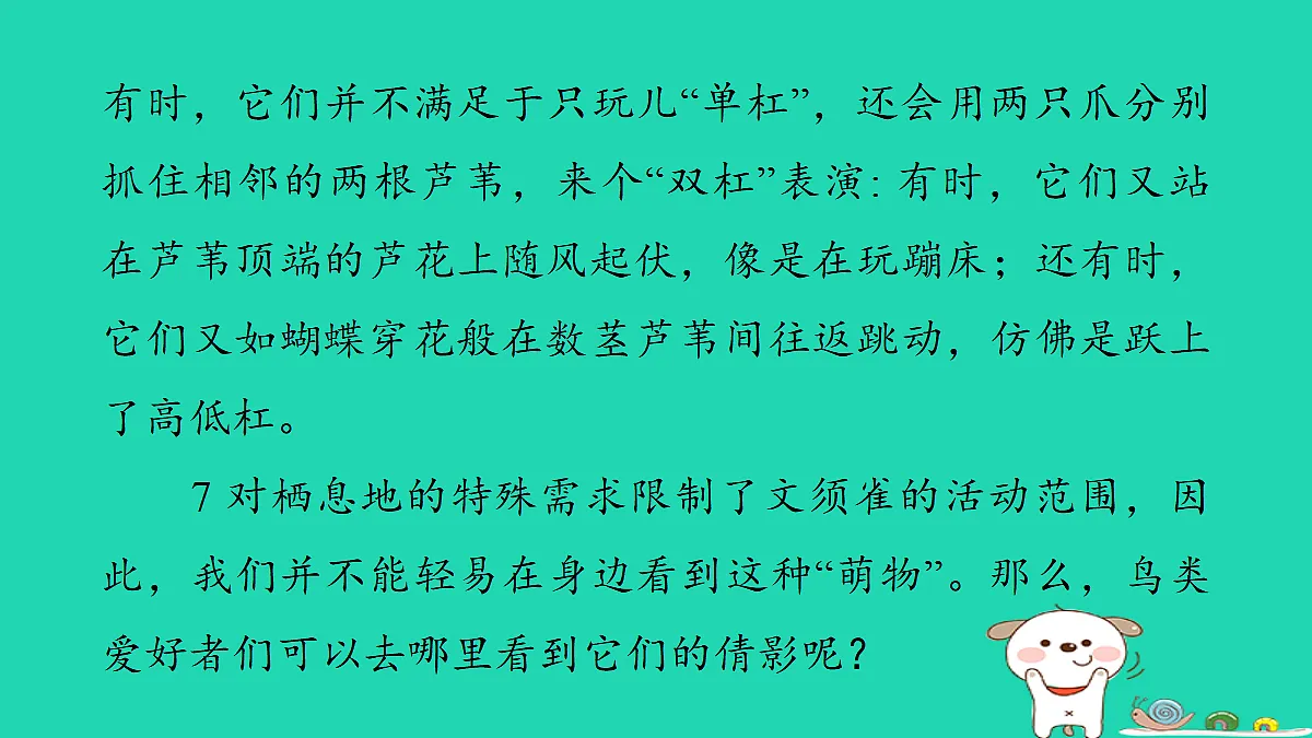 17346165第7页