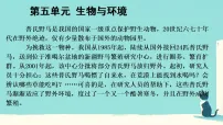 人教版（2024）八年级上册（2024）第一节 生物与环境的相互作用课堂教学课件ppt
