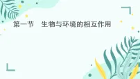 初中生物人教版（2024）八年级上册（2024）第一节 生物与环境的相互作用评课ppt课件