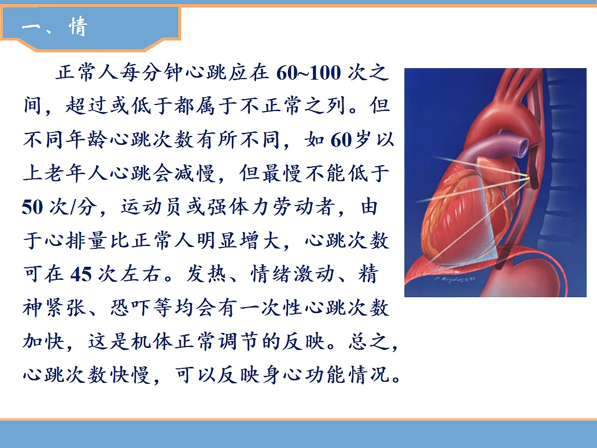 17346361第2页