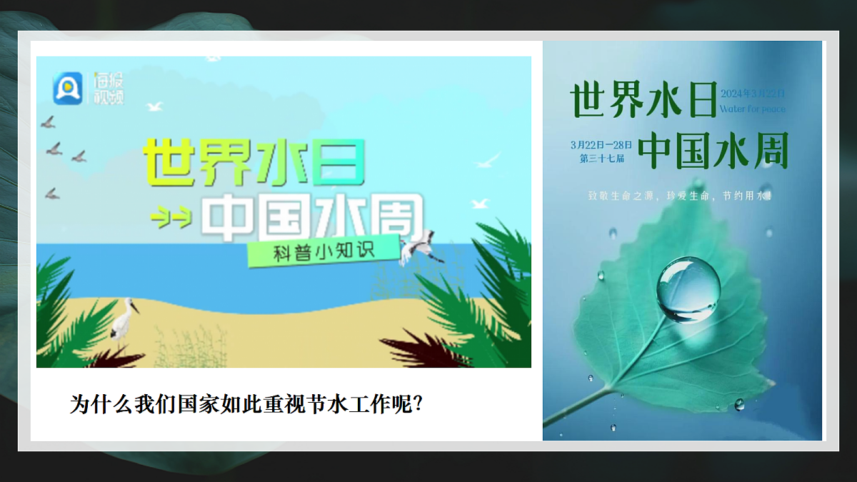 17346576第3页