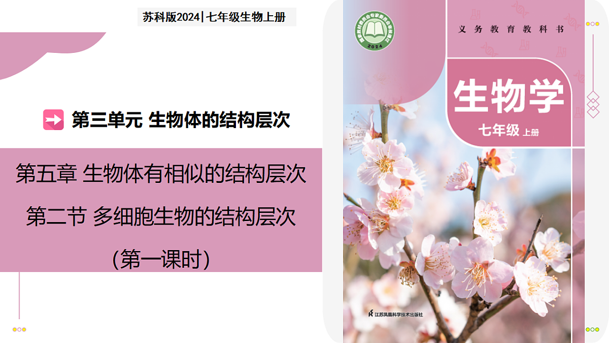 17346579第1页