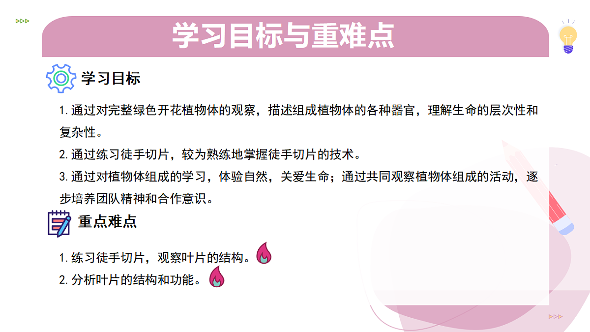 17346579第2页