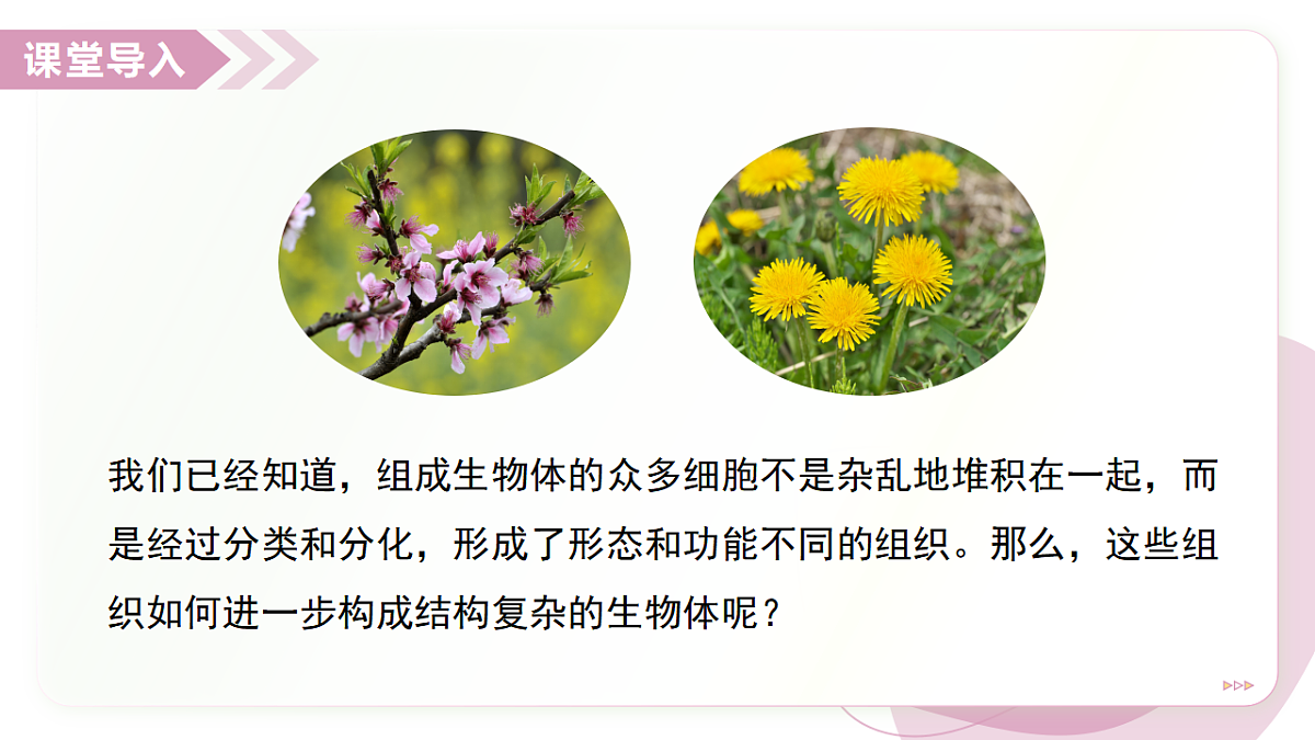 17346579第3页