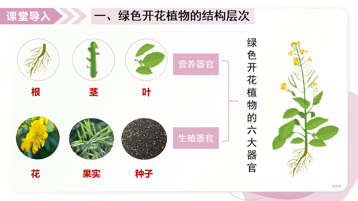 17346579第4页