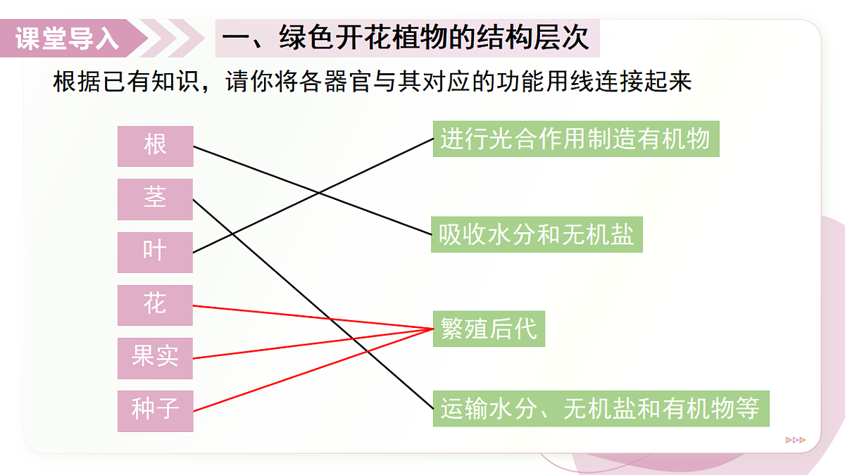 17346579第5页