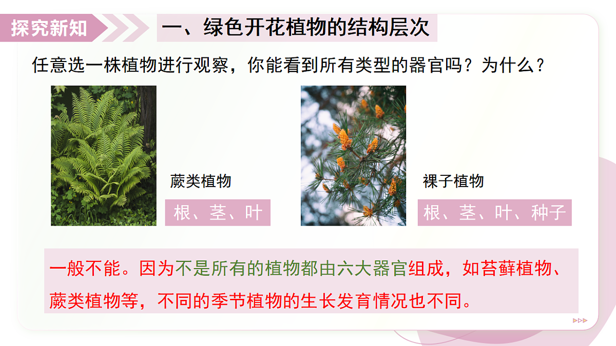17346579第6页