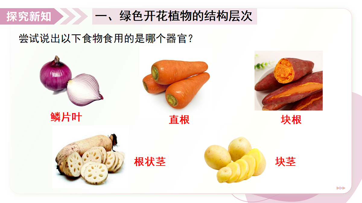 17346579第7页
