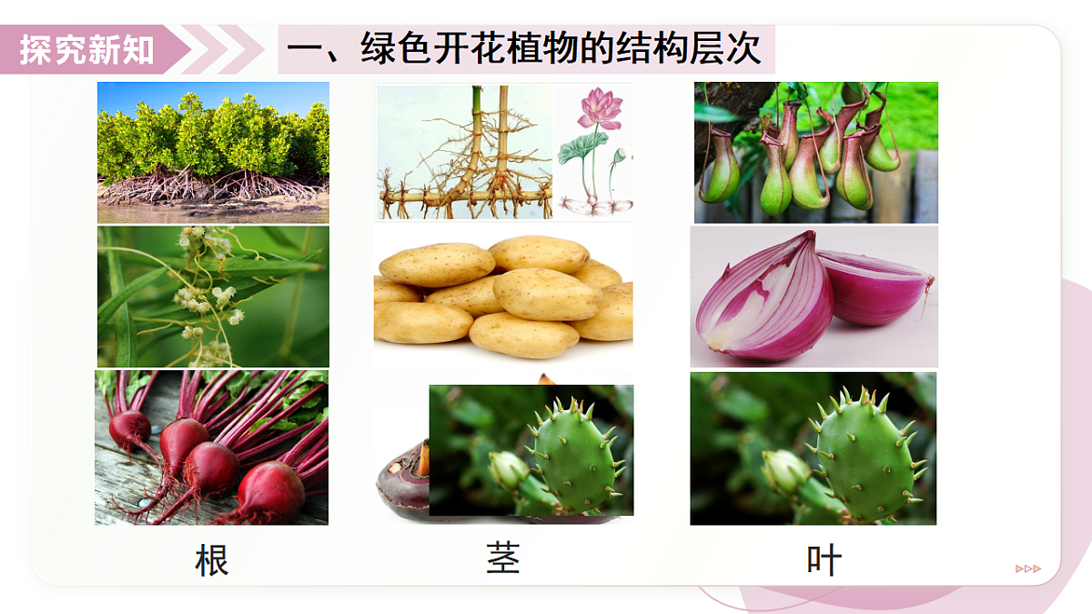 17346579第8页