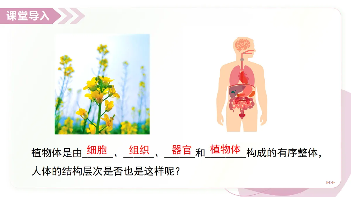 17346580第3页