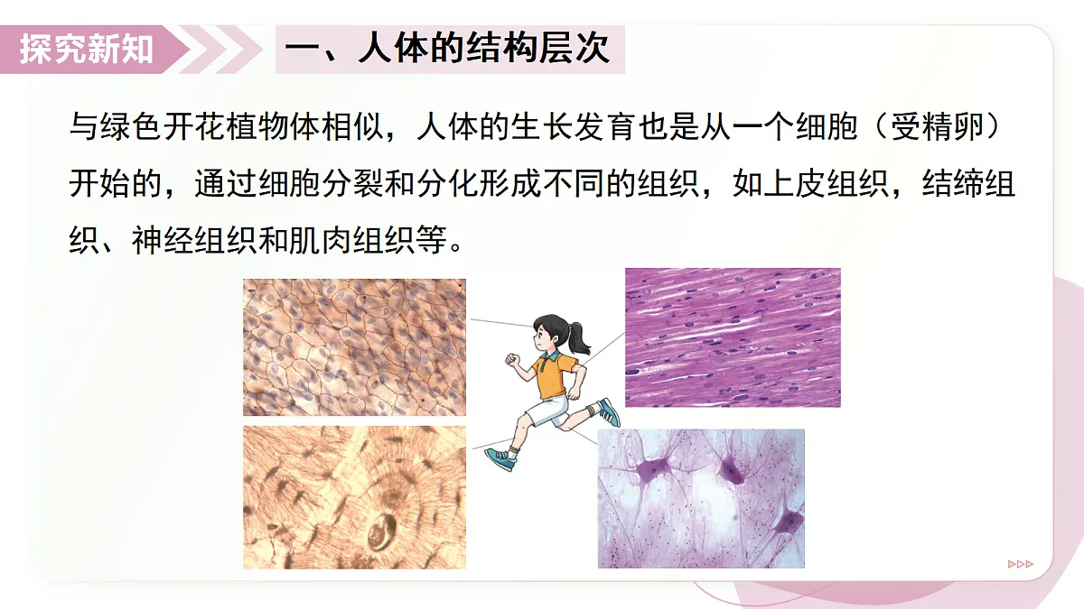 17346580第4页