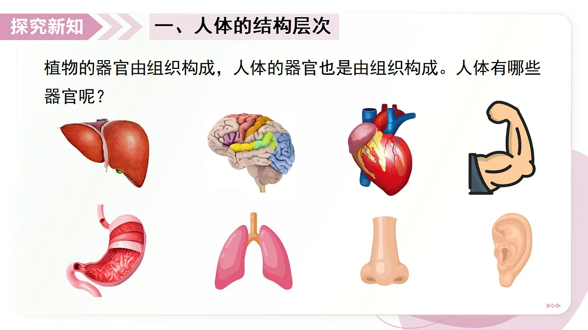 17346580第5页