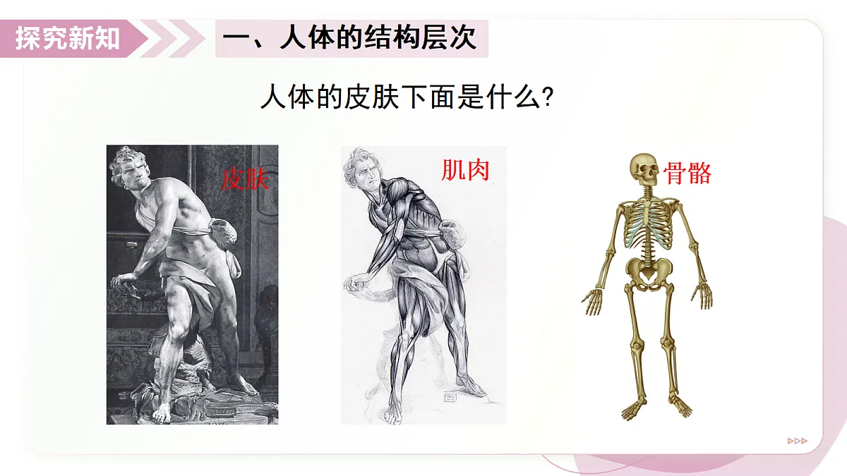 17346580第6页