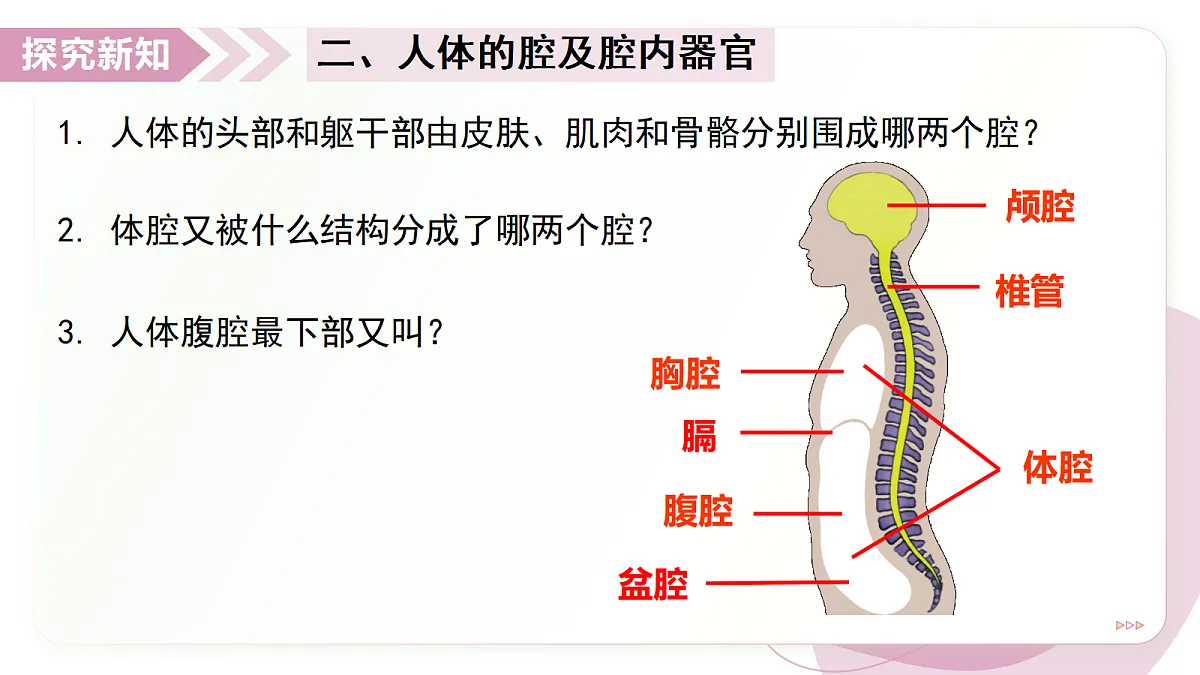 17346580第8页