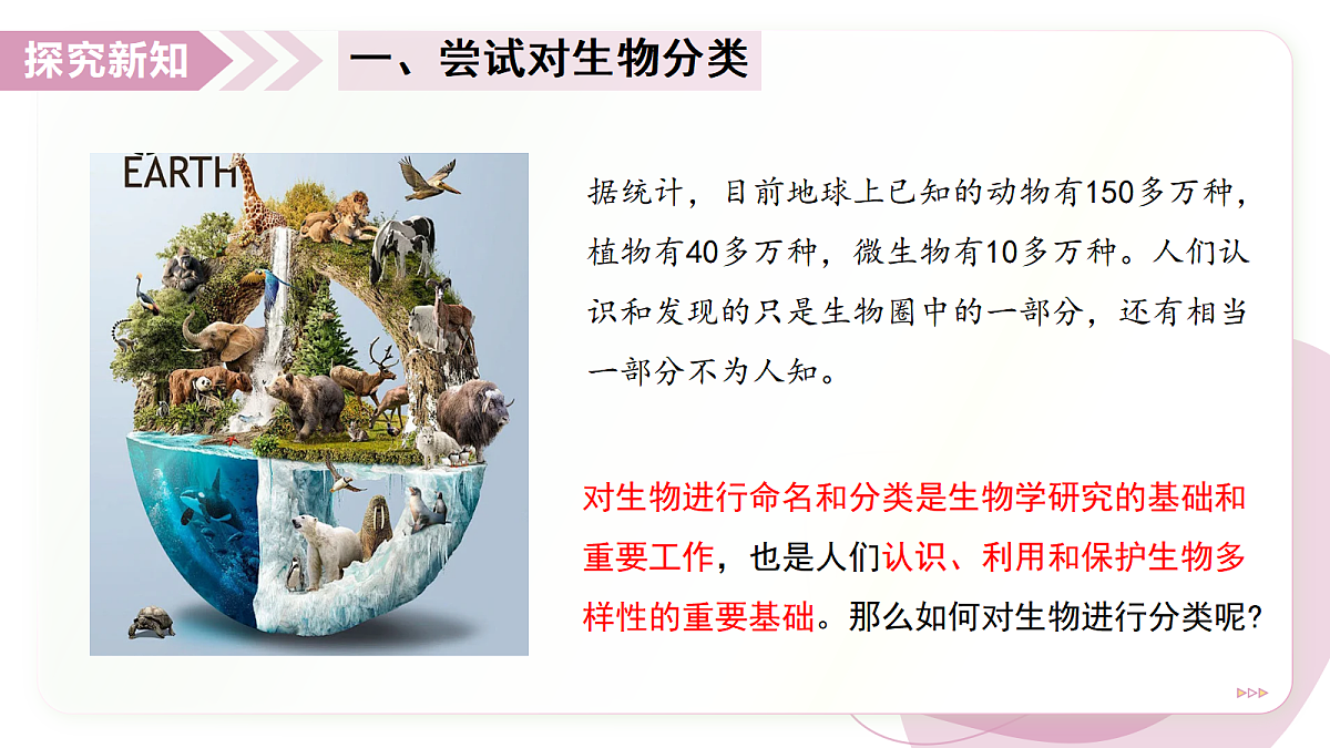 17346583第4页