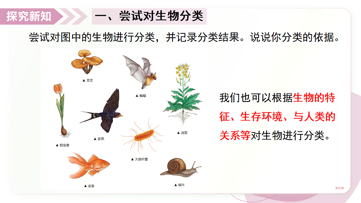 17346583第5页