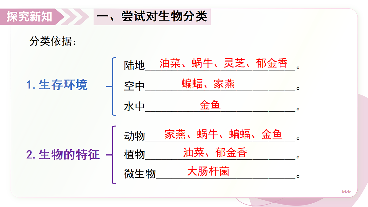 17346583第6页
