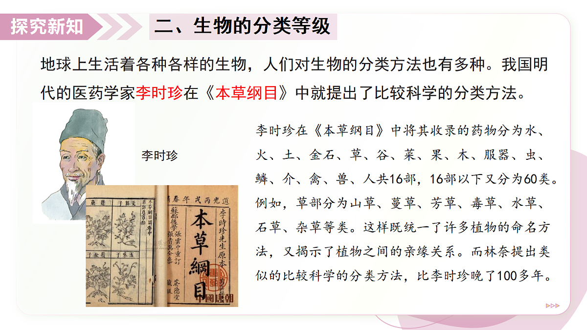 17346583第7页