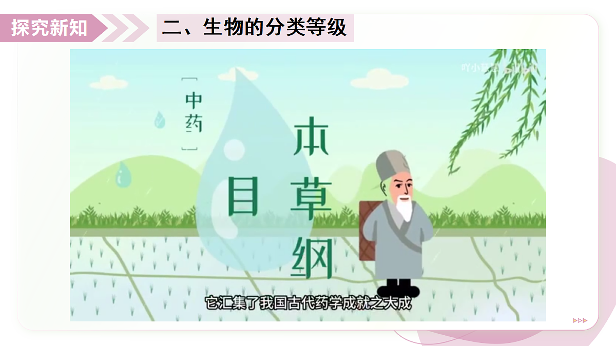 17346583第8页