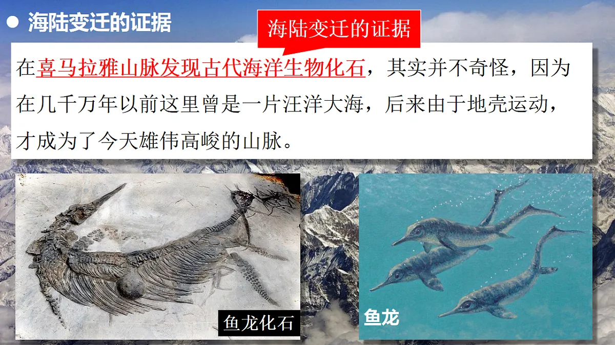 17346685第5页