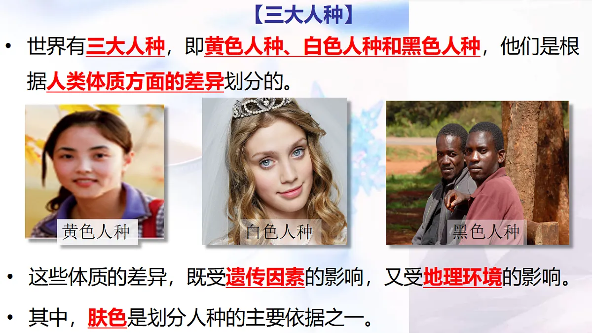 17346691第8页