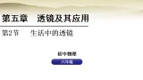人教版八年级物理上册第五章透镜及其应用5.2生活中的透镜課件+教案（表格式）