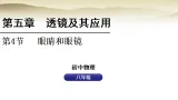 人教版八年级物理上册第五章透镜及其应用5.4眼睛和眼镜課件+教案（表格式）