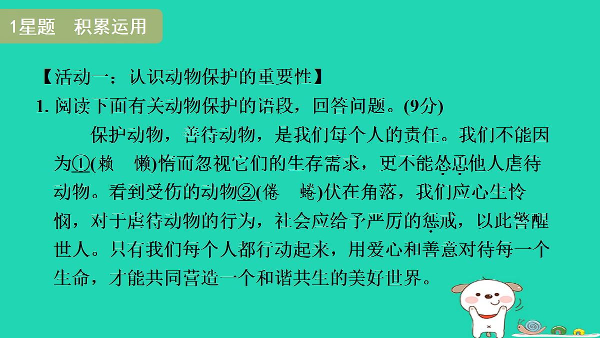 17346869第3页