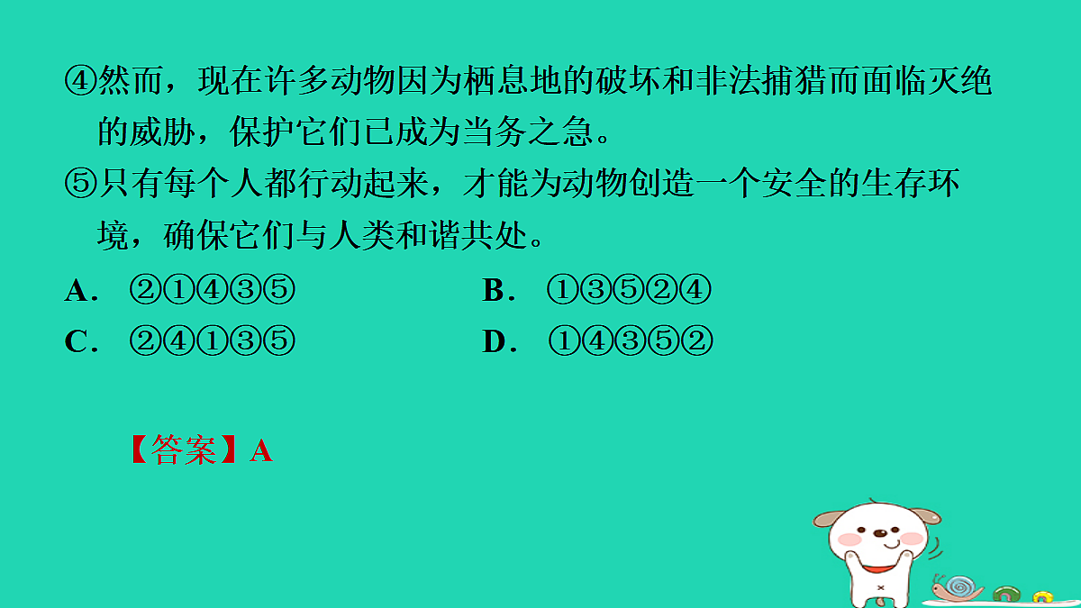 17346869第7页