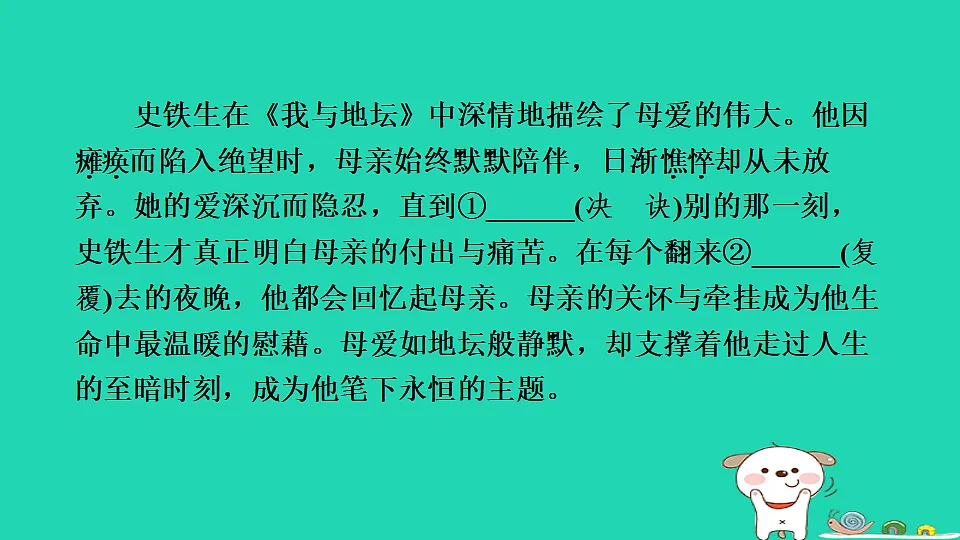 17346877第4页