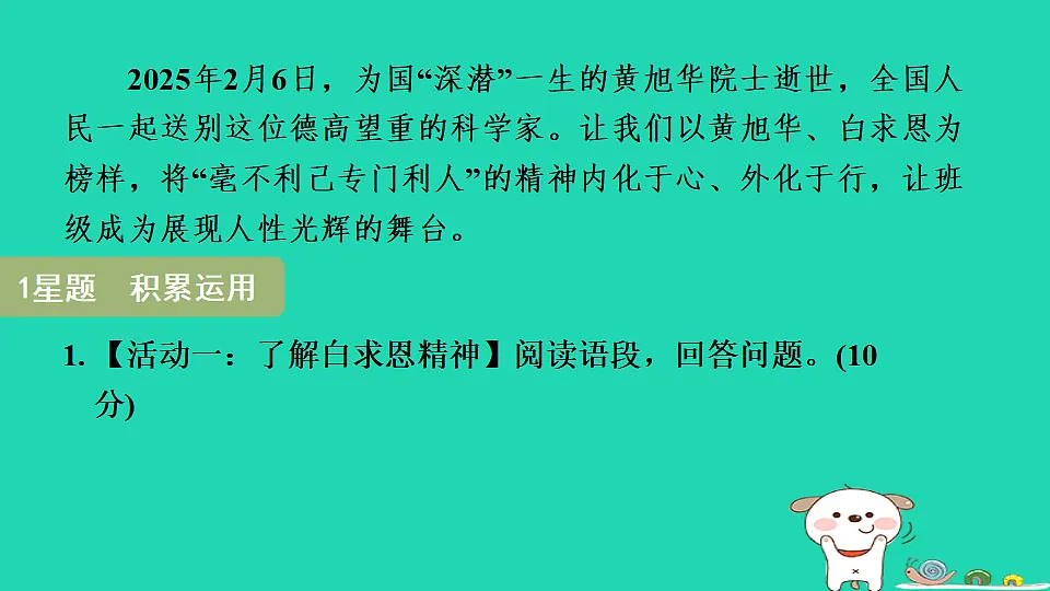 17346882第3页