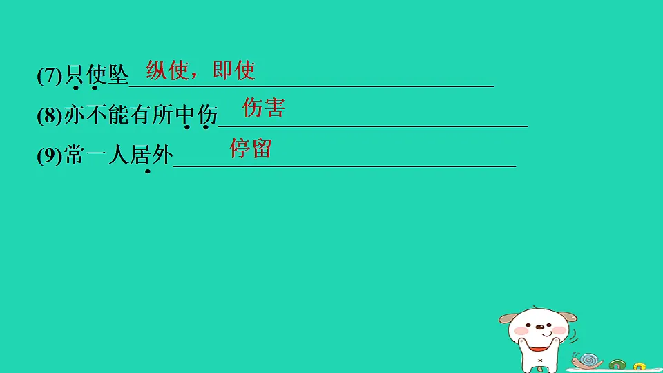 17346901第5页