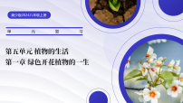 冀少版（2024）八年级上册（2024）章节综合与测试复习课件ppt