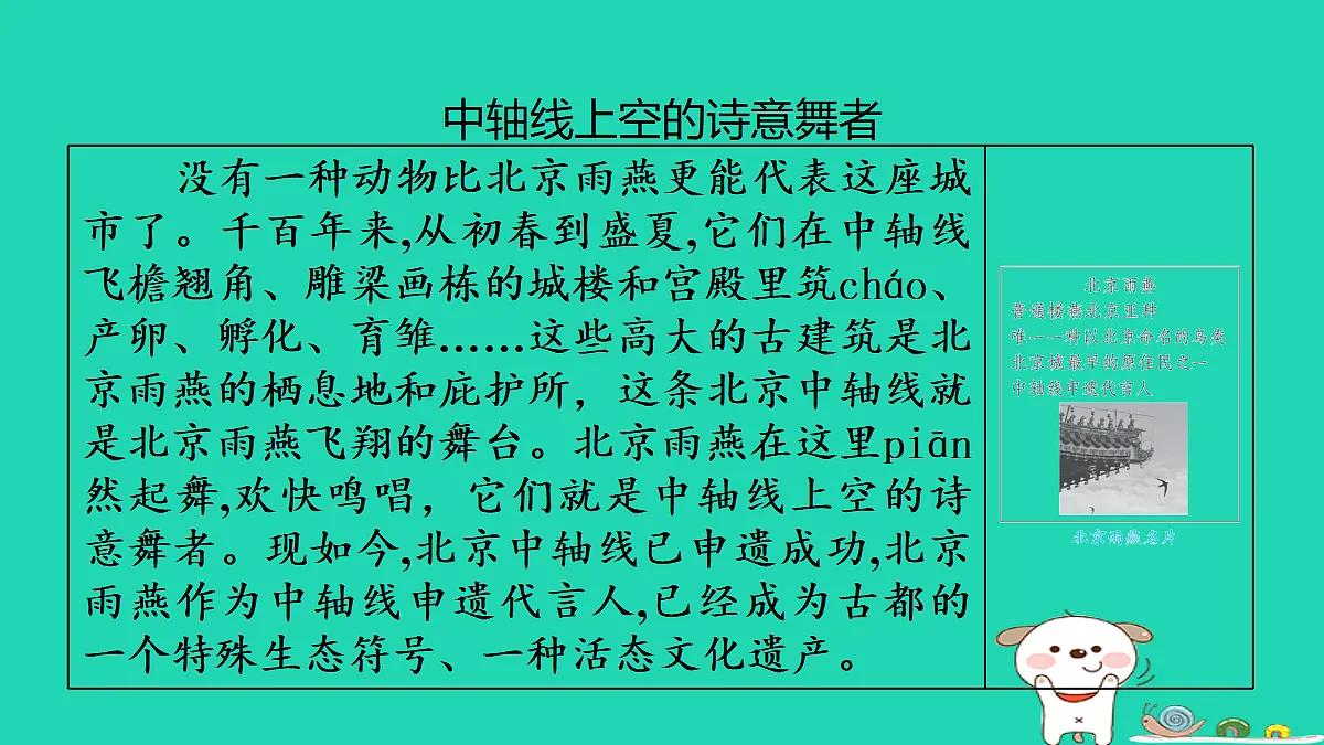 17347166第3页
