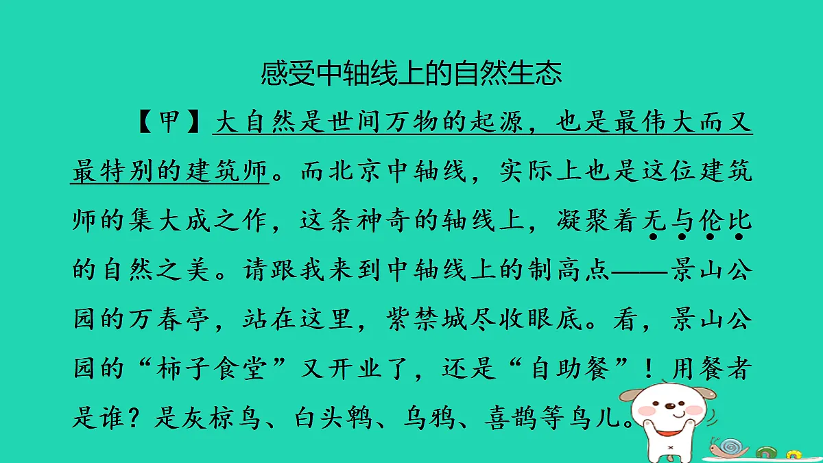 17347166第6页