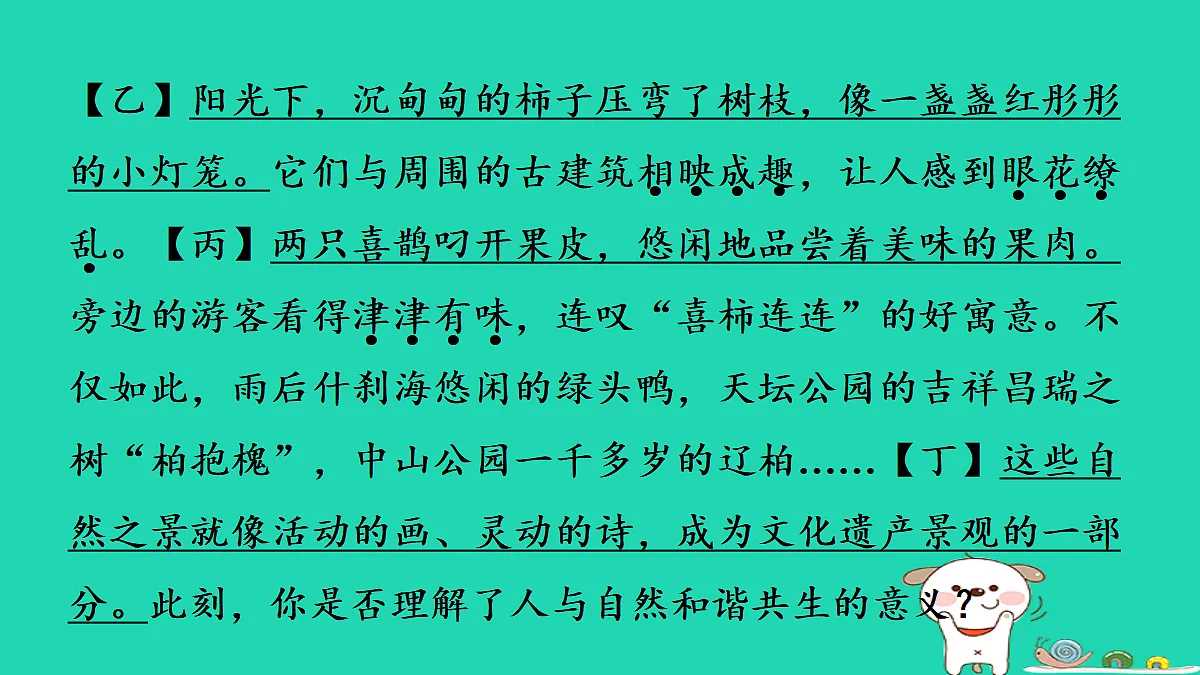 17347166第7页