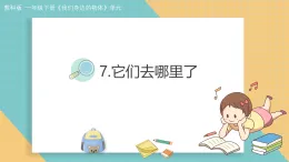 新教科版一年級科學(xué)下冊 1.7.它們?nèi)ツ睦锪耍ń贪?課件）