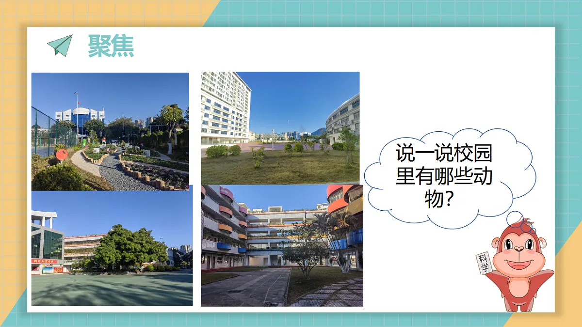 2.1《我们周围的动物》第2页
