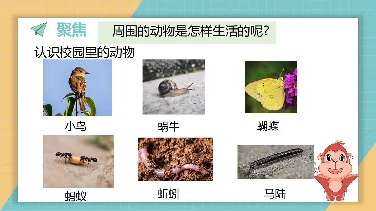2.1《我们周围的动物》第3页