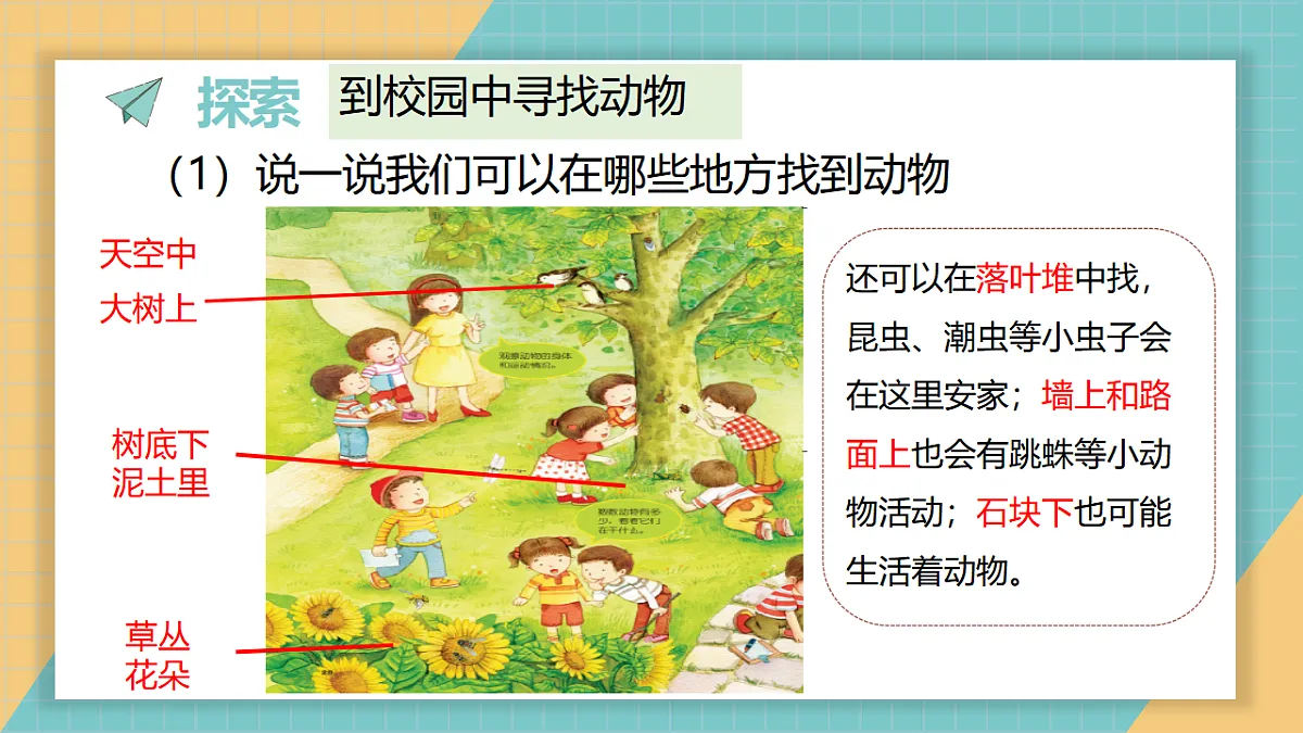2.1《我们周围的动物》第4页