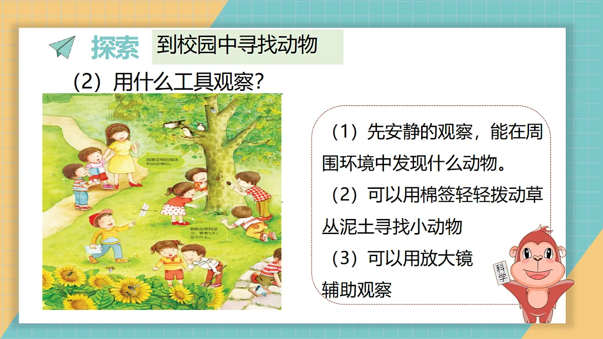 2.1《我们周围的动物》第5页