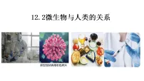 北师大版(2024)八年级上册(2024)微生物与人类的关系课前预习课件ppt