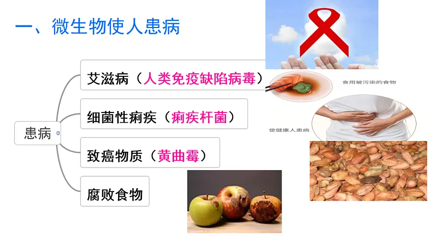 17347332第2页