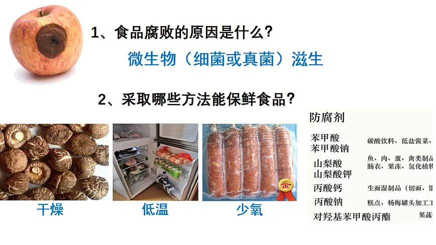 17347332第3页