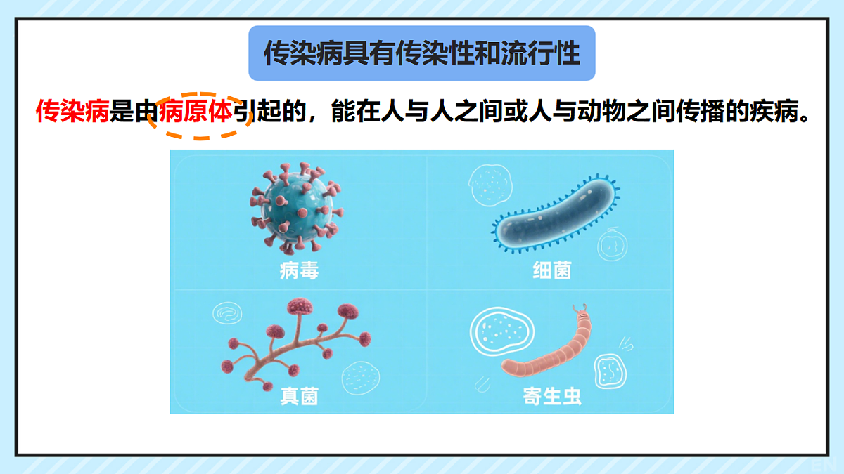 17347381第3页